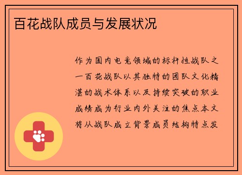 百花战队成员与发展状况