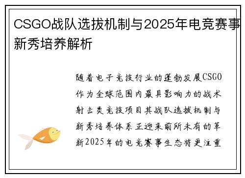 CSGO战队选拔机制与2025年电竞赛事新秀培养解析